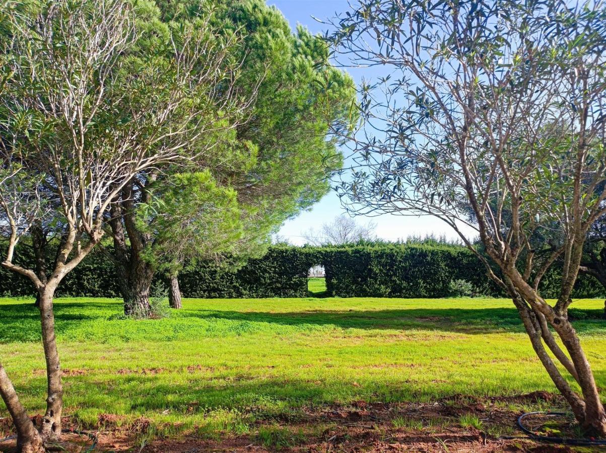 Casa Con Piscina Privada Y Barbacoa En Chiclana Capacidad Hasta 10 Personas Villa Chiclana de la Frontera Exterior foto